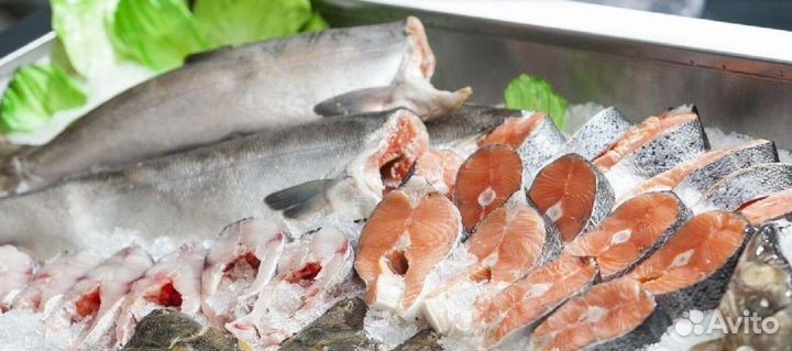 Готовый магазин рыбы и морепродуктов на продажу