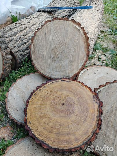 Спил дуб 30см*3-4см