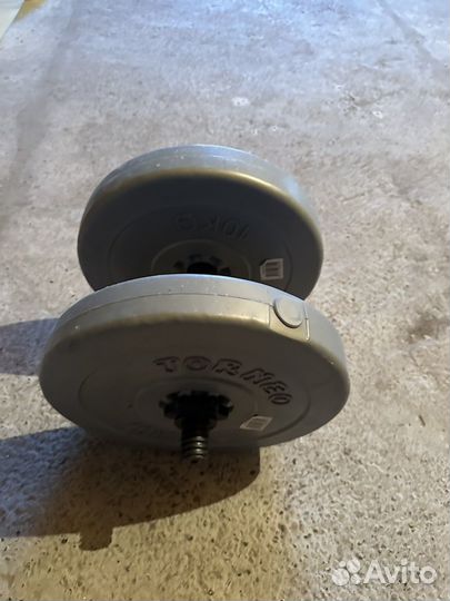 Штанга с гантелей