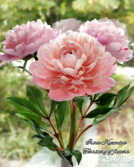 Пион. Полимерная глина. Ручная работа