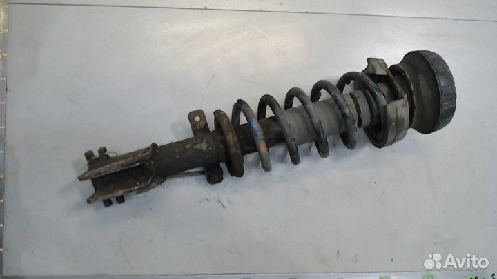 Амортизатор подвески Opel Vivaro, 2008