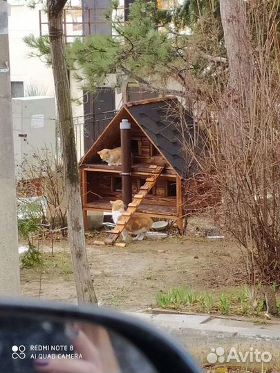 Будки для кошек, котов