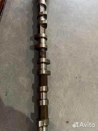 Распредвал впускной Bmw m54b25