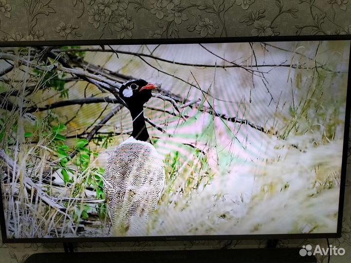 Телевизор samsung smart tv