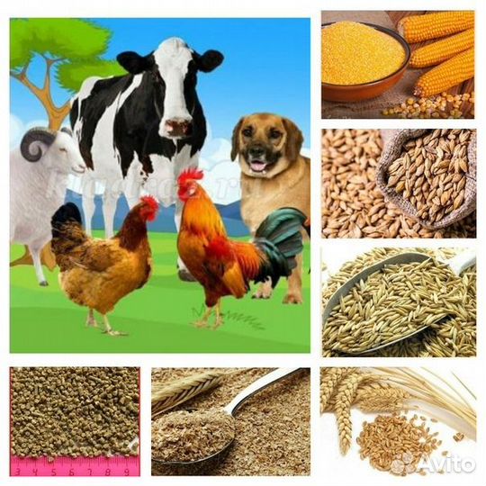 Комбикорма в ассортименте