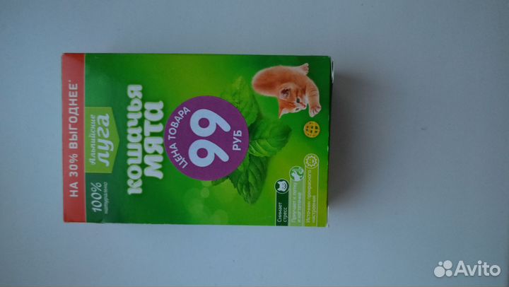 Кошачья мята