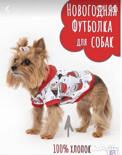 Кофта Накидка Костюм для животных