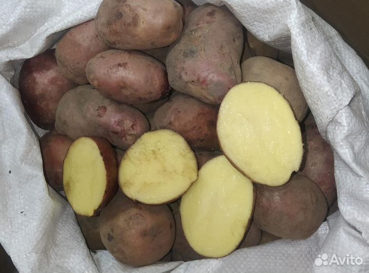 Продам картофель