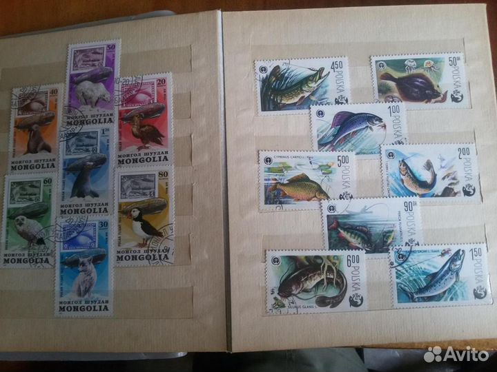 Марки и блоки 1950-1980 5 альбомов по 12 листов