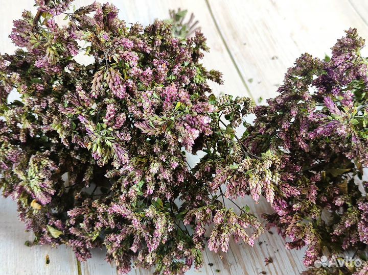 Букет орегано (душицы) сухоцвет