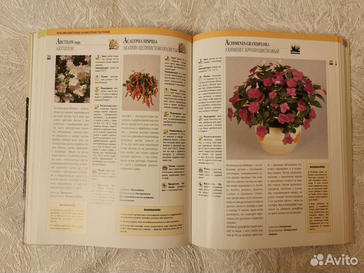 Декоративные растения