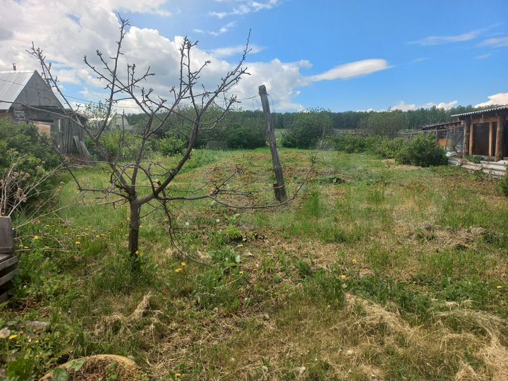 Участок 10 сот. (ИЖС)