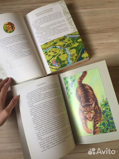 Коты воители книги и спец.издания