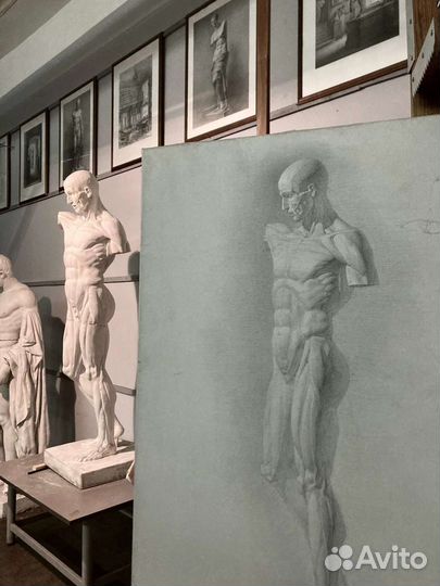 Репетитор по академическому рисунку