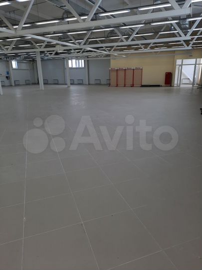 Торговая площадь, 680 м²