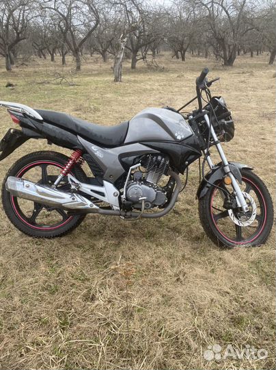 Irbis GS200