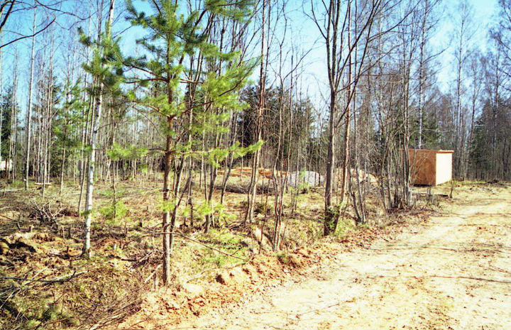 Участок 10 сот. (ИЖС)