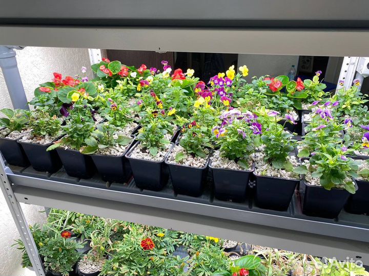 Как открыть бизнес. Сити ферма