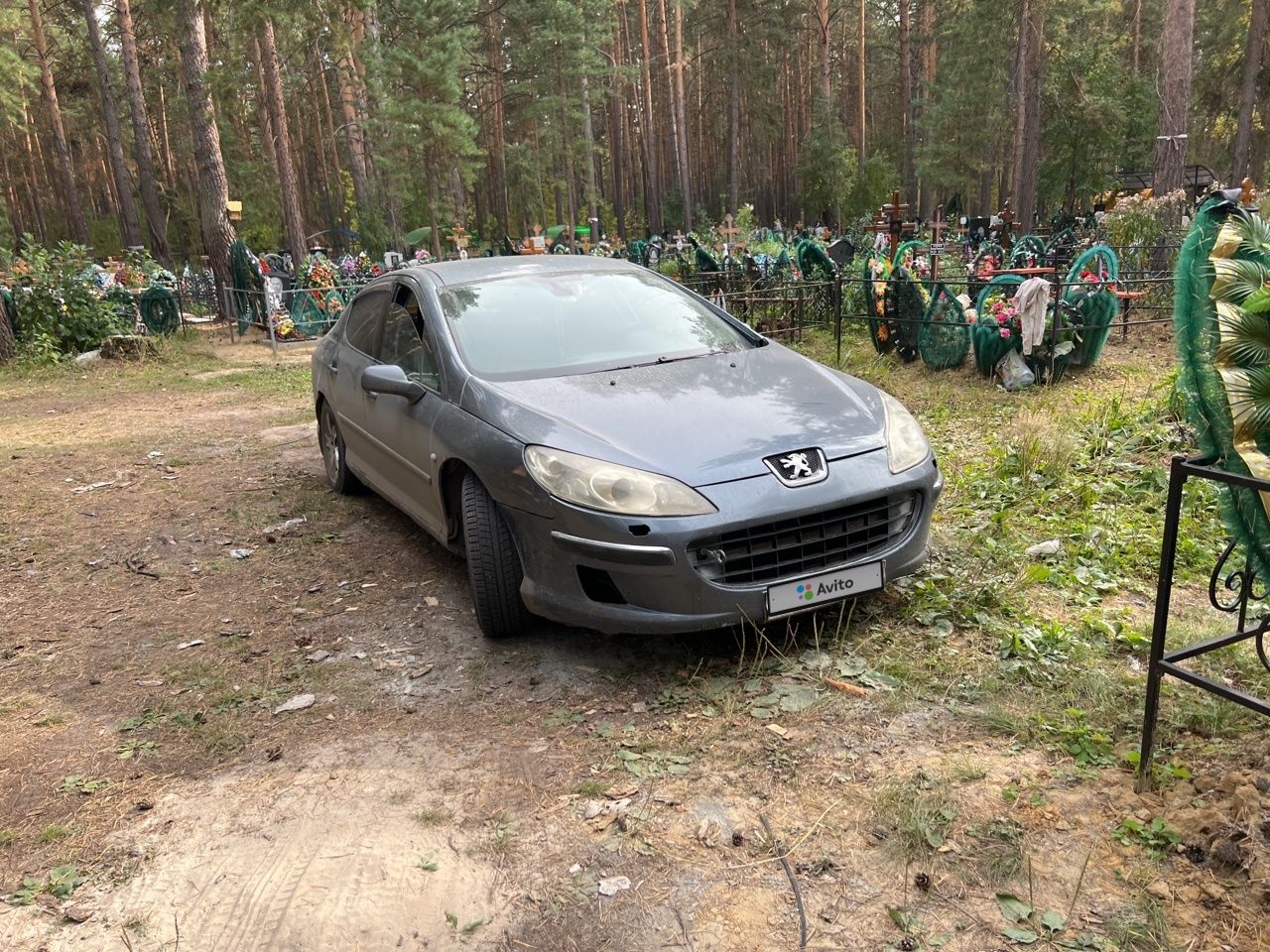 Peugeot 407: фото владельца