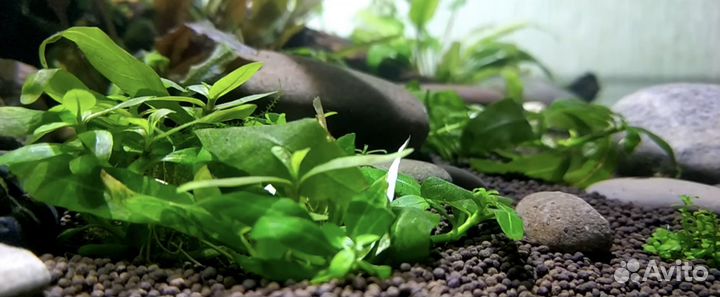 Проппант грунт для аквариума 90руб/кг