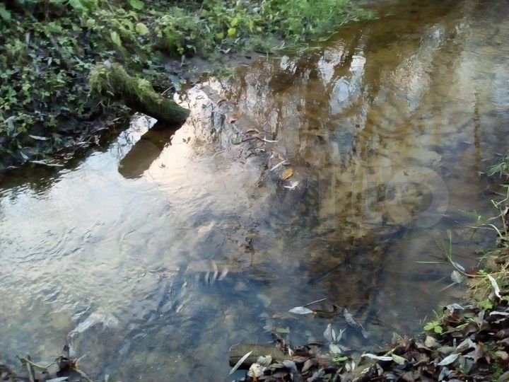 Участок 2,5 га (СНТ, ДНП)