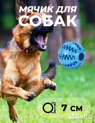 Мяч для собак