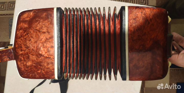 Баян детский