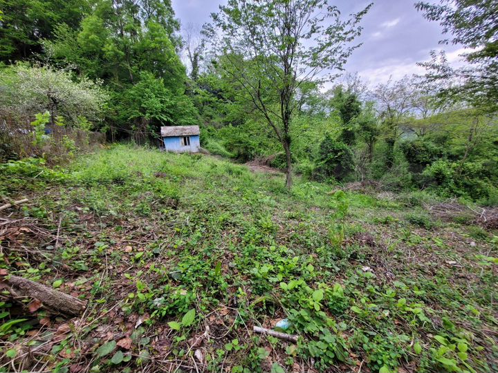 Участок 7,1 сот. (СНТ, ДНП)