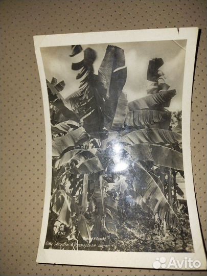 Открытки.30-е годы