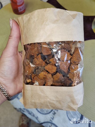 Березовый гриб чага. поднятие иммуни