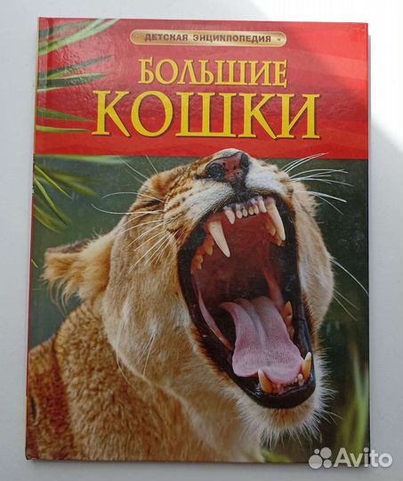 Книги о животных, книги про кошек, детские книги