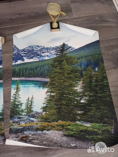 Постеры, постер на стену