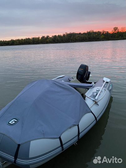 Gladiator E350Pro - Прицеп - Мотор