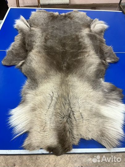 Шкура оленя