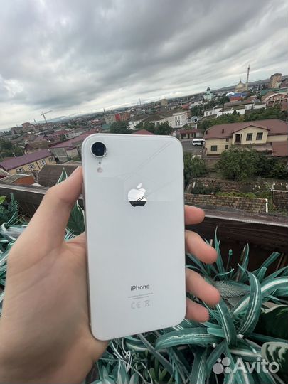 iPhone XR