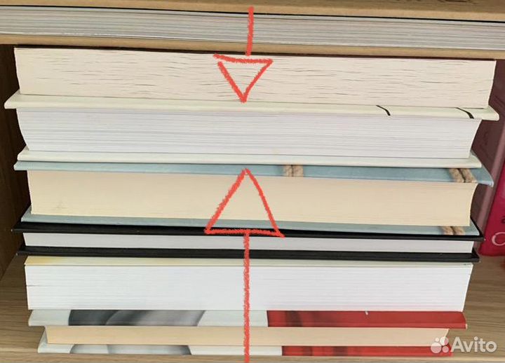 О чем молчат француженки Д.Оливье