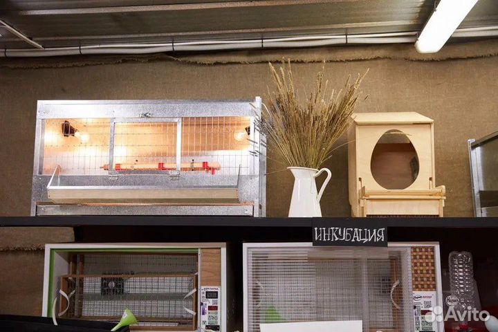 Клетки, брудеры