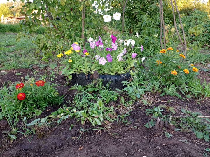 Дача 15 м² на участке 10 сот.