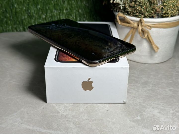 iPhone Xs Max, 256 ГБ