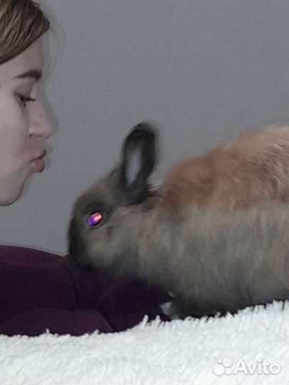 Ищем девочку, из Краснослободска