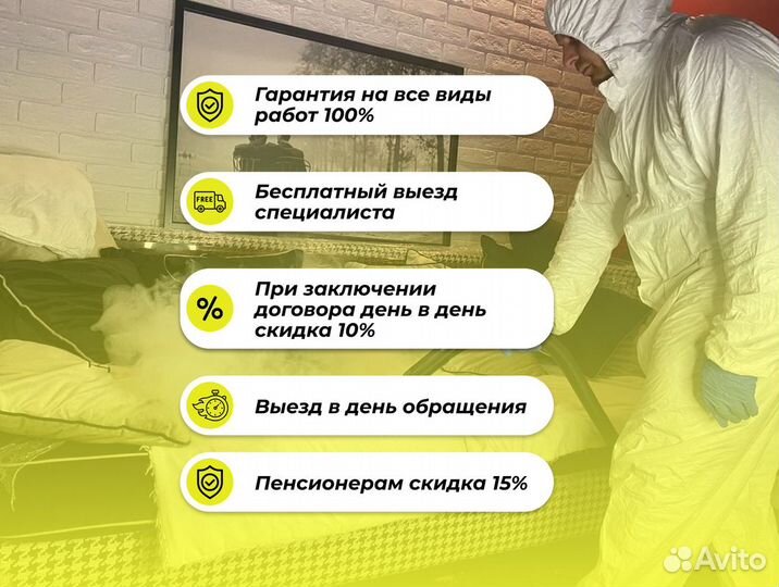 Дезинфекция. Уничтожение плесени