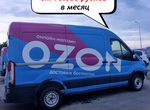 Интернет-бизнес на Ozon