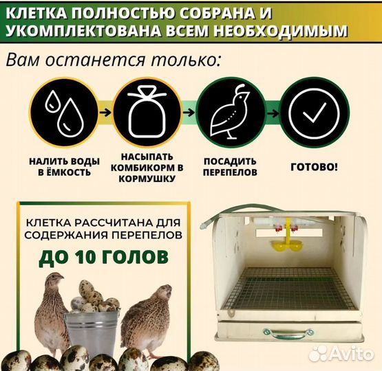 Клетка для 10ти перепелов