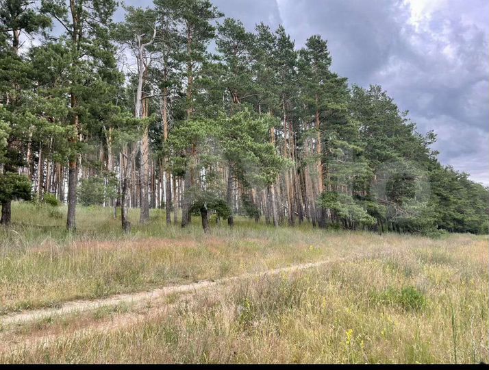 Участок 12,8 сот. (ИЖС)