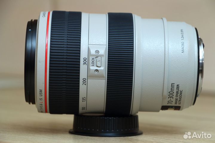 Canon EF 70-300mm f/4-5.6L IS USM