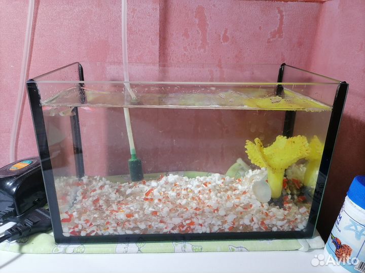 Продам аквариум с рыбками