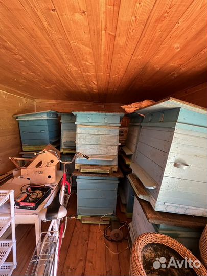 Ульи для пчел