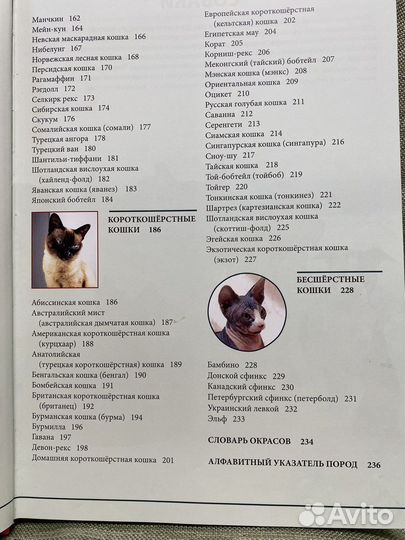 Энциклопедия и «хочу собаку»