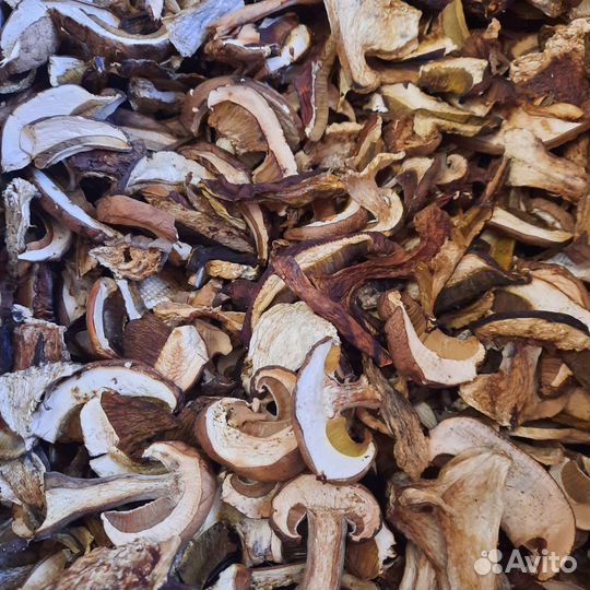 Гриб белый (боровик)