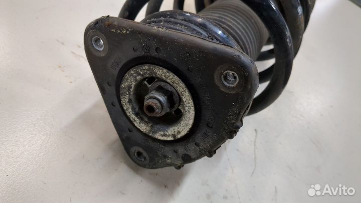 Амортизатор подвески Ford Kuga, 2010